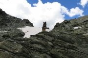 IMG_0087