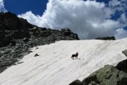 IMG_0102