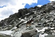 IMG_0117