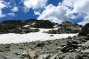 IMG_0121