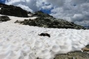 IMG_0124