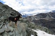 IMG_0141