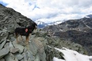 IMG_0148