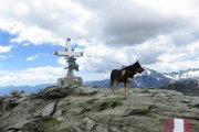 IMG_0171