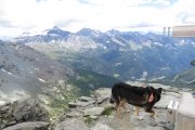 IMG_0176