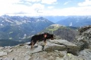IMG_0178