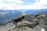 IMG_0179
