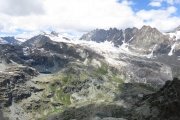 IMG_0219