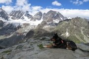 IMG_0274