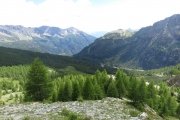 IMG_0305