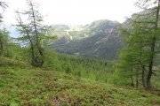 IMG_0307