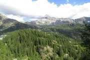 IMG_0316