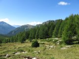 IMG_0014