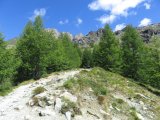 IMG_0019