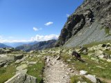 IMG_0022