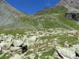 IMG_0023