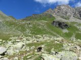 IMG_0024