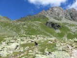 IMG_0025