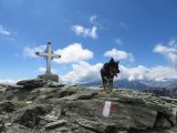 IMG_0071