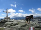 IMG_0074