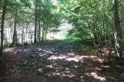 IMG_0002