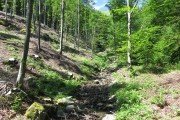 IMG_0005