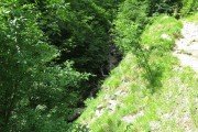 IMG_0006