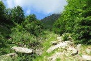 IMG_0009