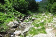 IMG_0011