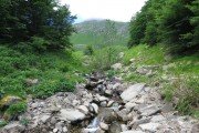 IMG_0015