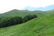 IMG_0017