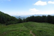 IMG_0018