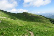 IMG_0029