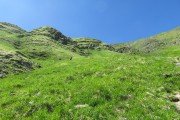 IMG_0038