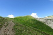 IMG_0055