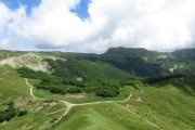 IMG_0082