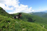 IMG_0085