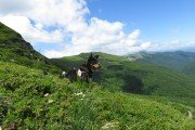 IMG_0086