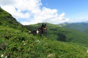 IMG_0087