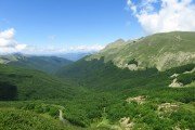 IMG_0088