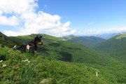 IMG_0089
