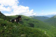 IMG_0090