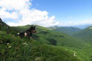 IMG_0091