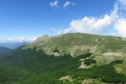 IMG_0099