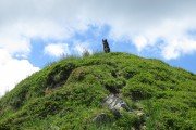 IMG_0103