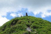 IMG_0105