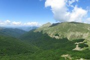IMG_0111