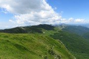 IMG_0120
