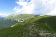 IMG_0135