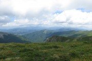 IMG_0159